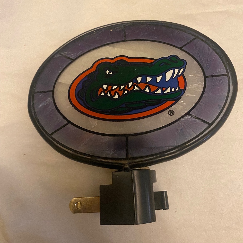 Florida Gators Night light  d as rain glass look